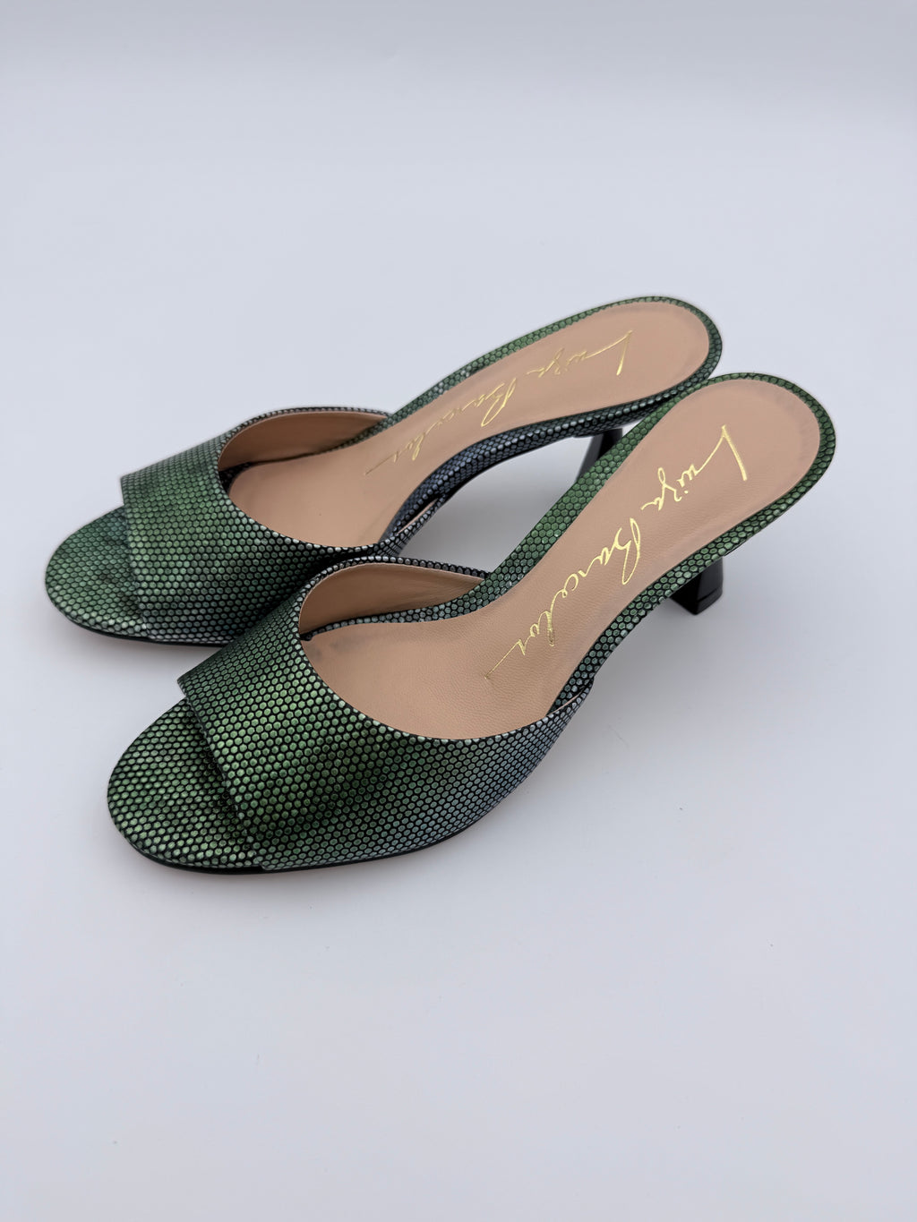 Luiza Barcelos Aurora Pinheiro Mule B015 V6