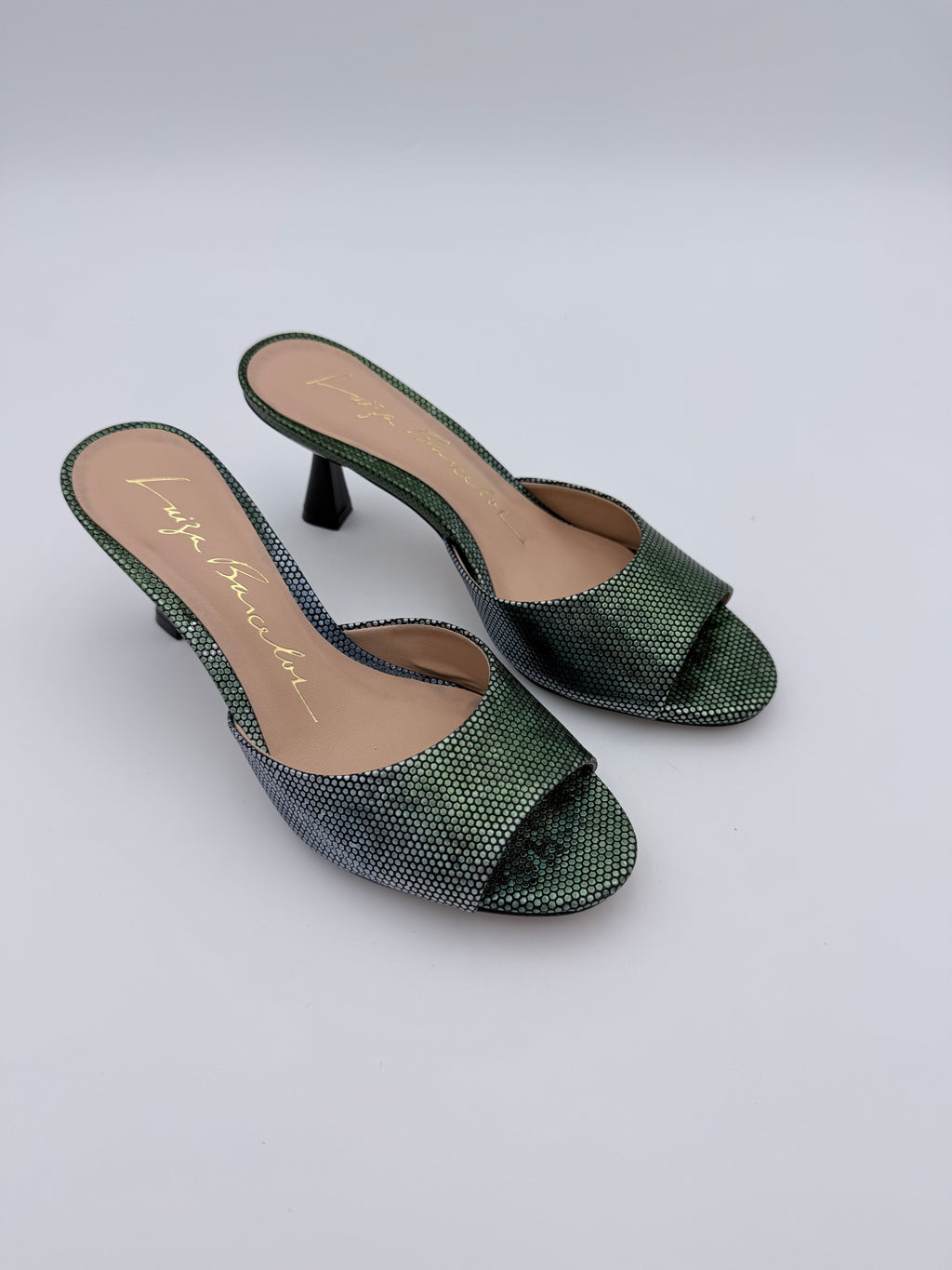 Luiza Barcelos Aurora Pinheiro Mule B015 V6