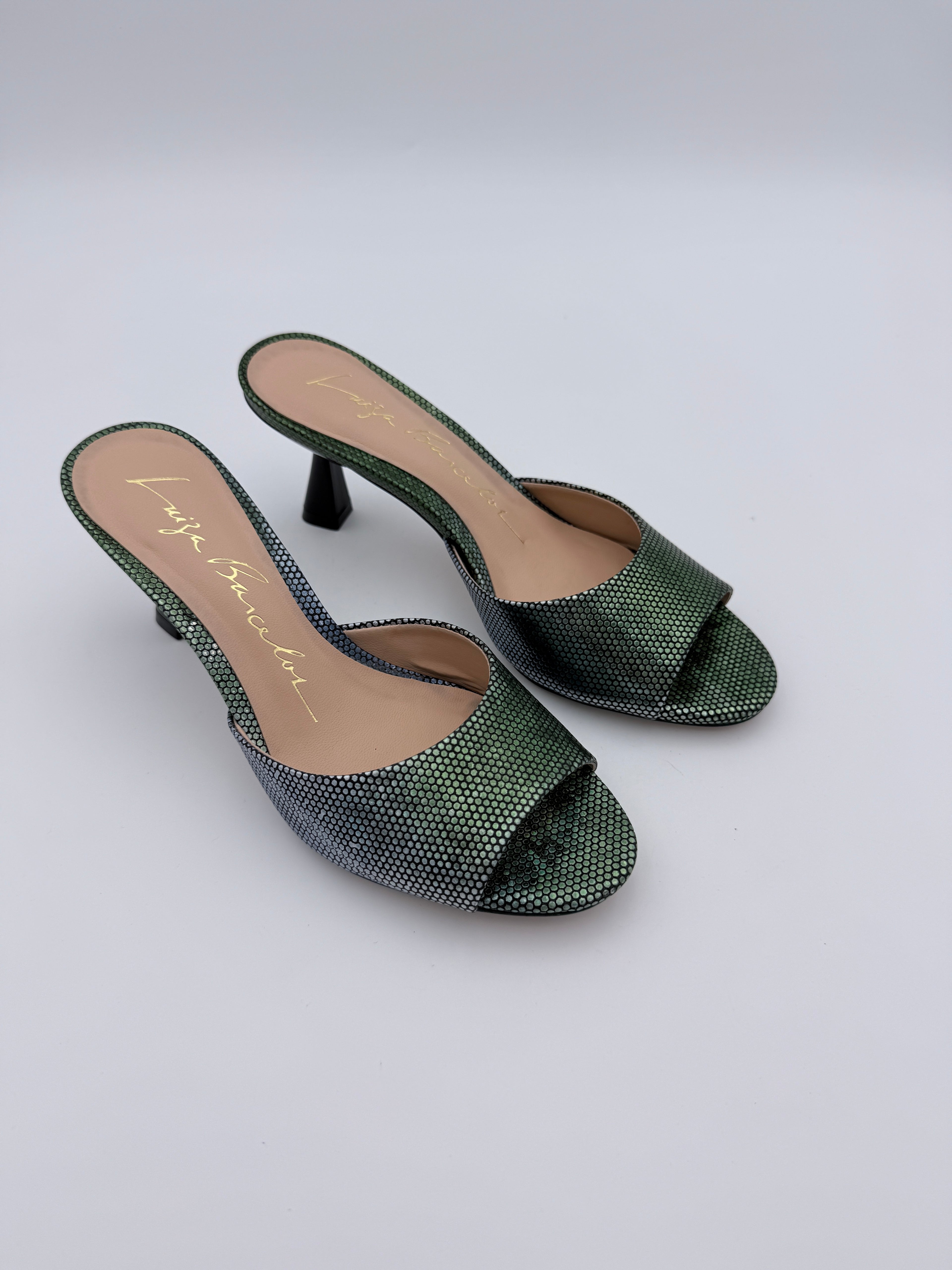 Luiza Barcelos Aurora Pinheiro Mule B015 V6