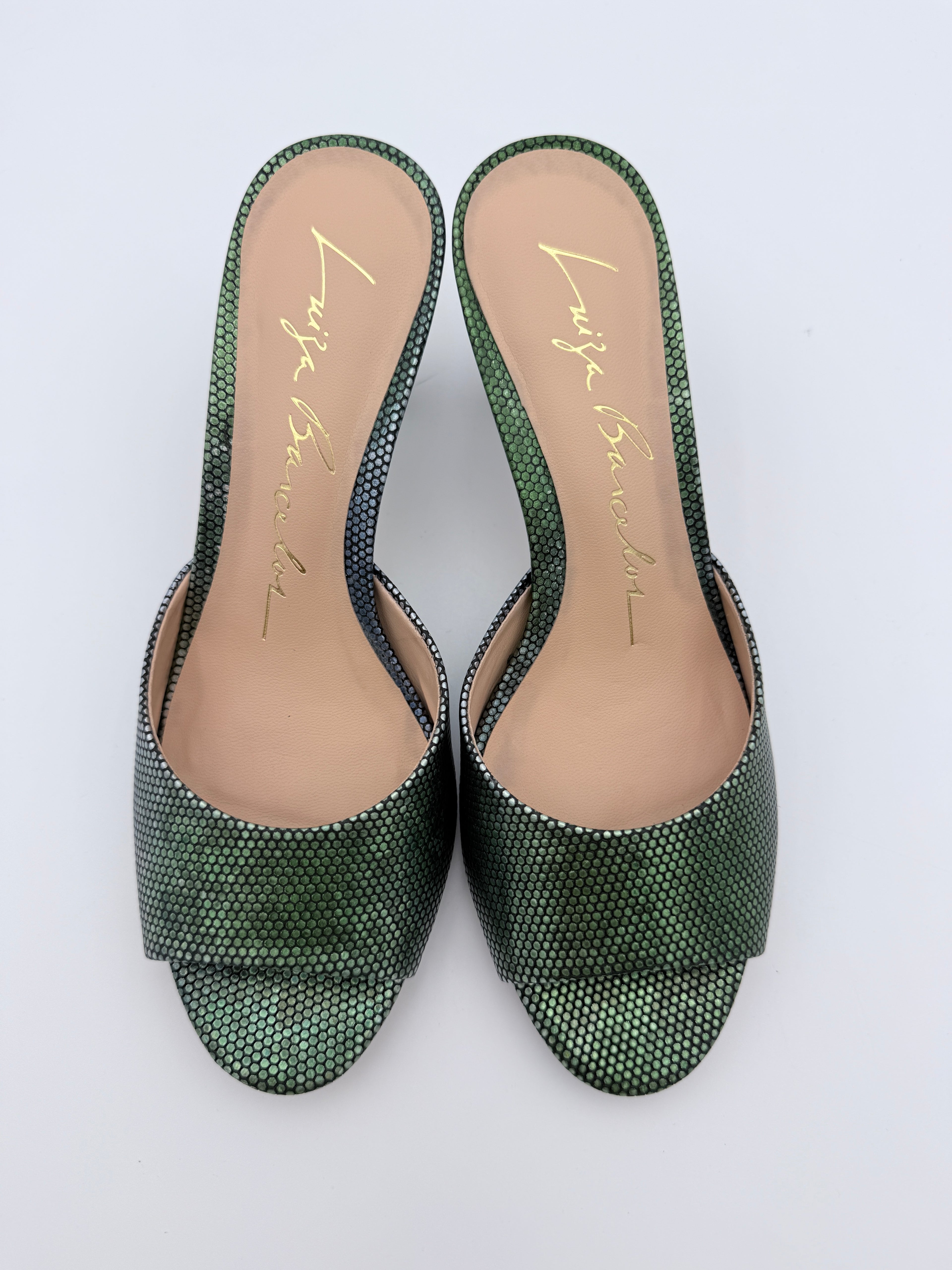 Luiza Barcelos Aurora Pinheiro Mule B015 V6