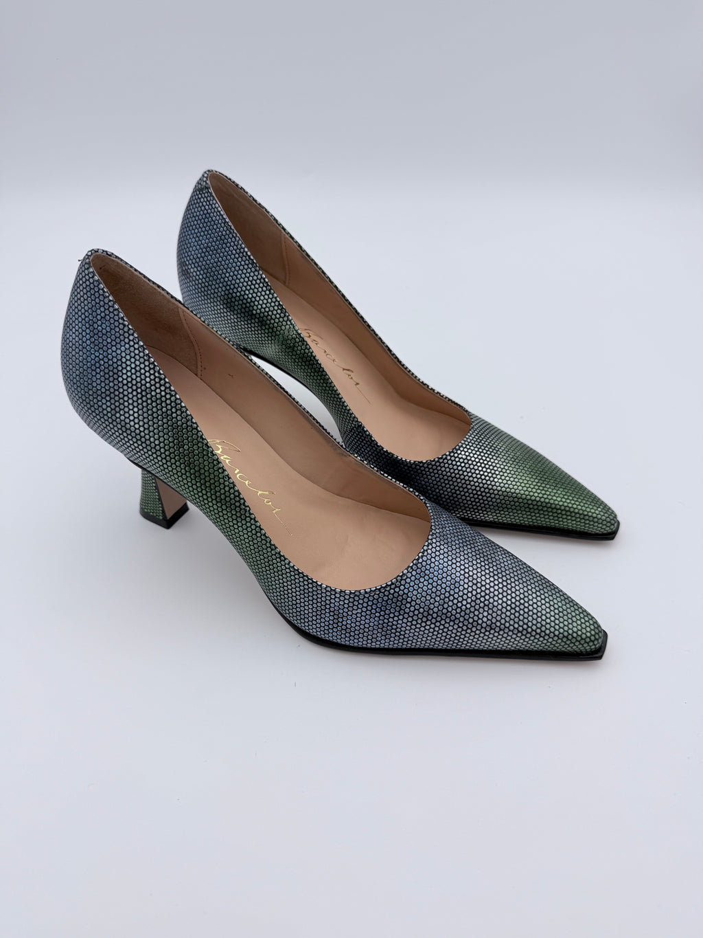 Luiza Barcelos Aurora Pinheiro Scarpin B005 V2