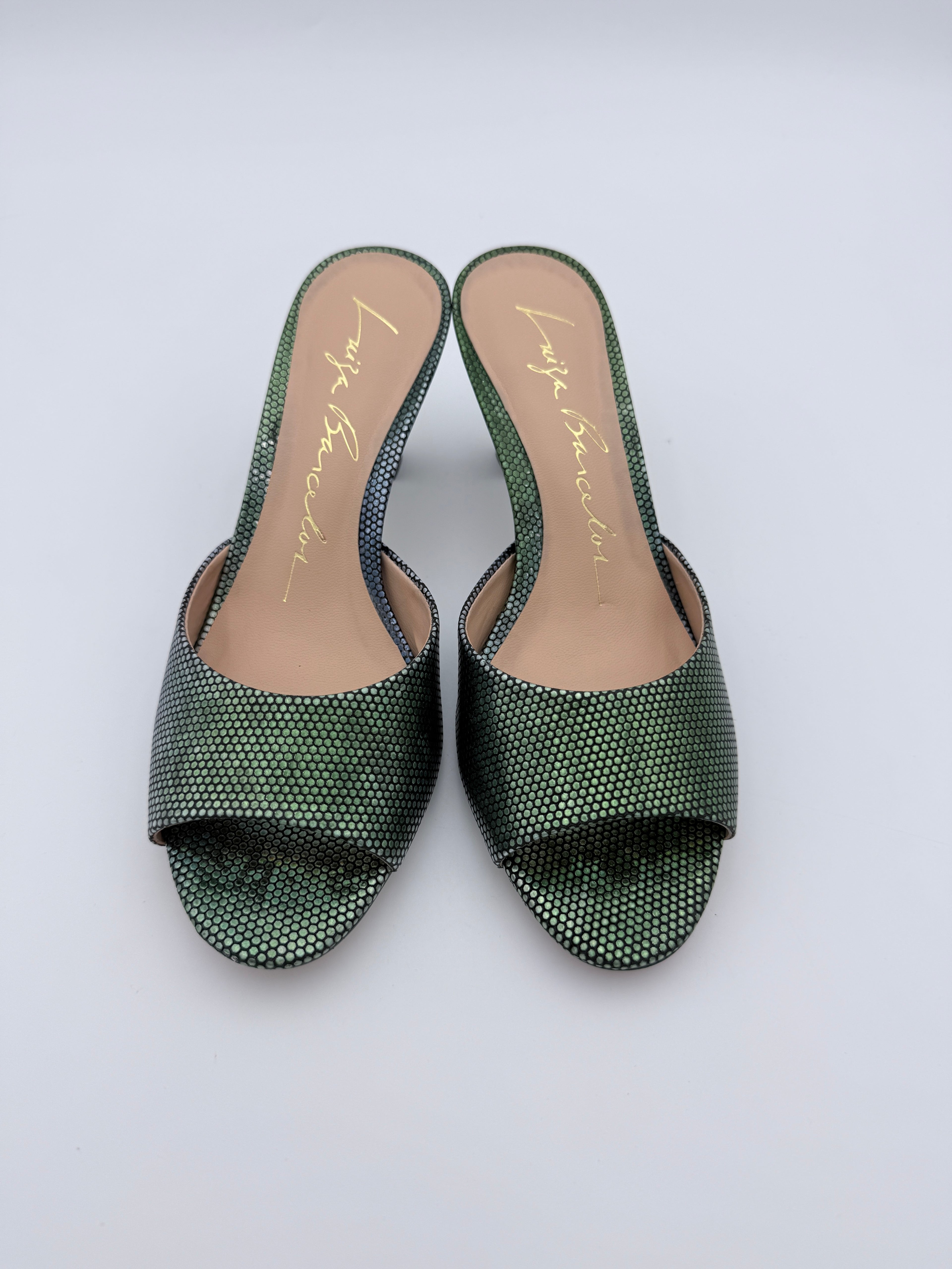 Luiza Barcelos Aurora Pinheiro Mule B015 V6