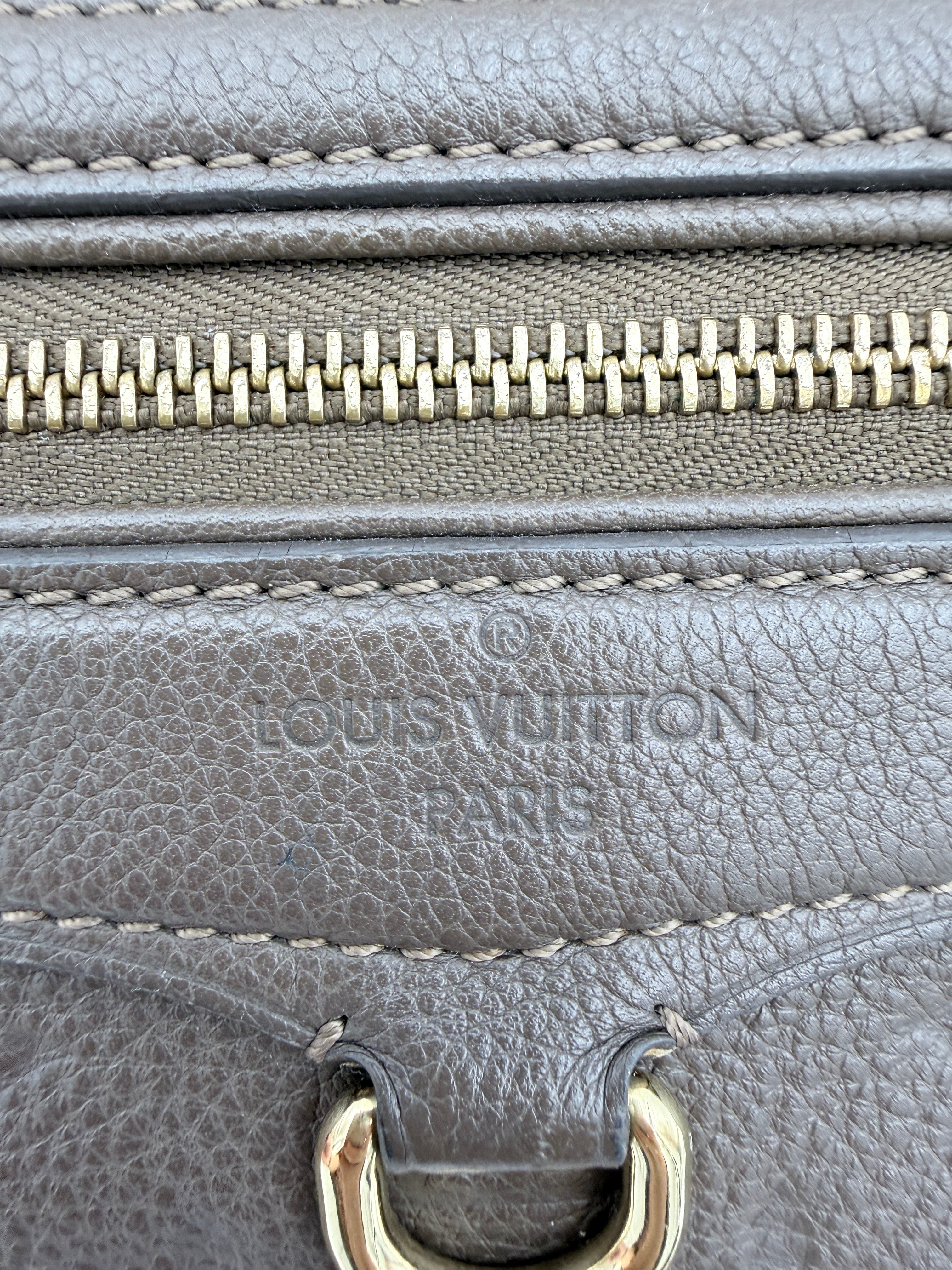 Louis Vuitton Petilant Clutch