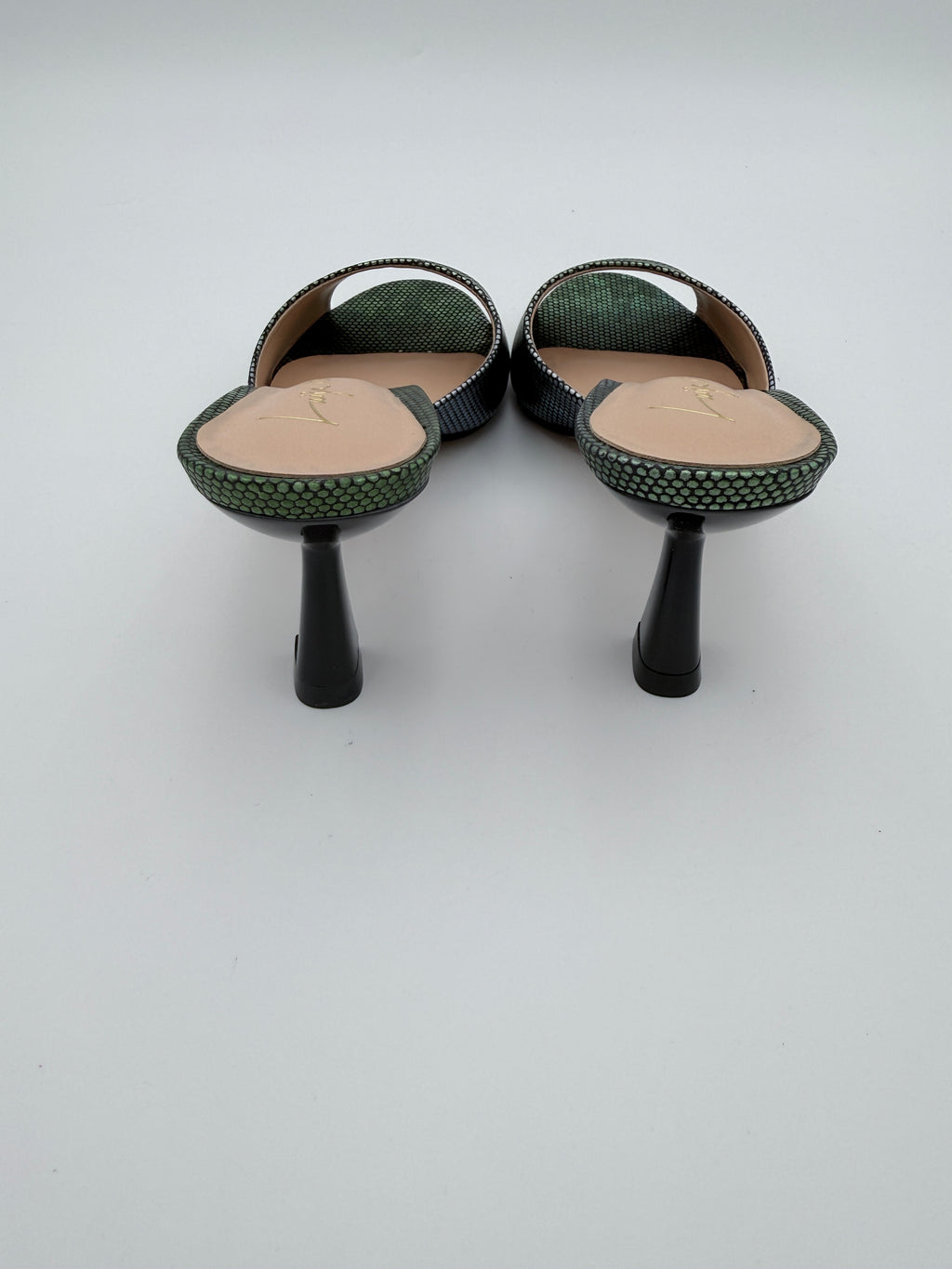 Luiza Barcelos Aurora Pinheiro Mule B015 V6